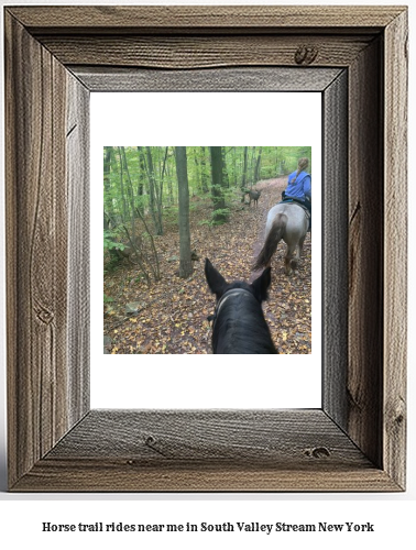 horse trail rides near me in South Valley Stream, New York